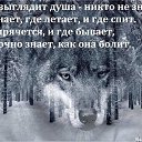 ���� ���������, ���������, 45 ��� - ��������� 8 ������� 2020 � ������ ������ ��������