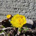 ���� �����, �����-��������� - ��������� 31 ����� 2020 � ������ ������ ��������