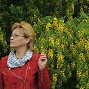 ���� �����, ����������, 58 ��� - ��������� 9 ��� 2020 � ������ ���� ����������