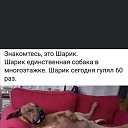 ���� ������, �������������-���������� - ��������� 4 ������ 2020 � ������ ������ ��������