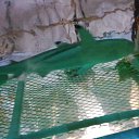 ���� �������, �������, 50 ��� - ��������� 22 ���� 2020