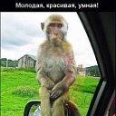 ���� ���������, ������, 64 ���� - ��������� 4 ������� 2020 � ������ ������ ��������