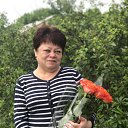 ���� ������, �������� - ��������� 28 ��� 2020 � ������ ���� ����������