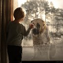 ���� ����, ������, 71 ��� - ��������� 5 ����� 2020 � ������ ���� ����������