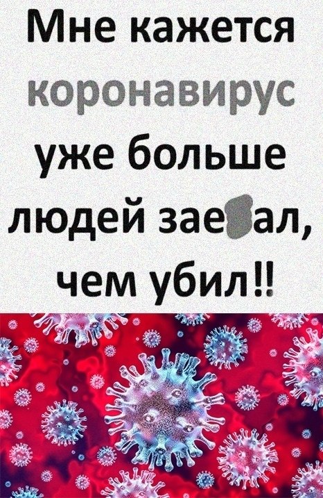 ������ ���� ����