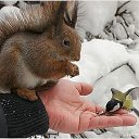  , -, 63  -  19  2020    