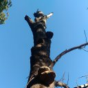 , .,09.04.20.17.30.   2020