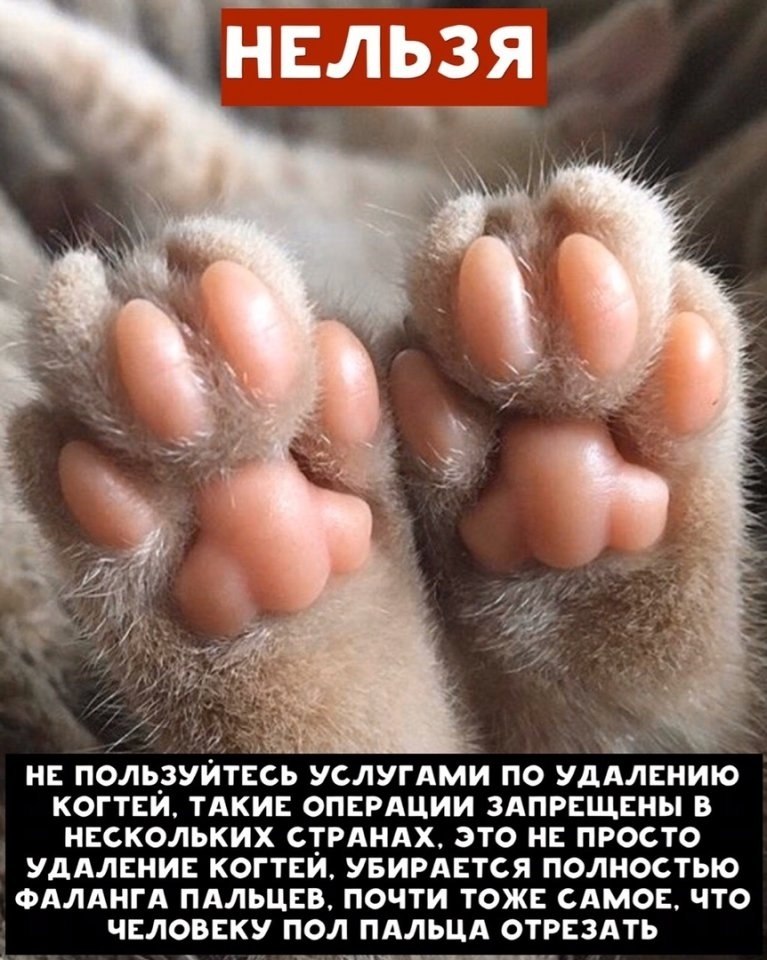     ! - 3