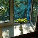 ���� Xxx, ������ - ��������� 28 ������ 2020 � ������ ���� ����������