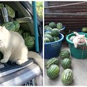 ���� �������, ����������, 50 ��� - ��������� 14 ���� 2020 � ������ ������ ��������