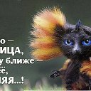 ���� ���������� ��������, �������, 50 ��� - ��������� 11 ������ 2020 � ������ ���� ����������
