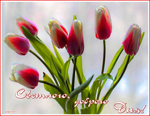   ,    . - 9  2020  21:51