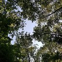 ���� ����, ������, 46 ��� - ��������� 22 ��� 2020