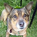 ���� ˸��, �����������, 48 ��� - ��������� 22 ������ 2020 � ������ ���� ����������