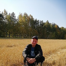 ���� ����, ������, 44 ���� - ��������� 12 ���� 2020