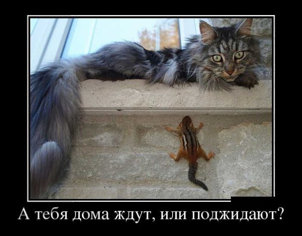 Ilya - 26 ������� 2020 � 19:57