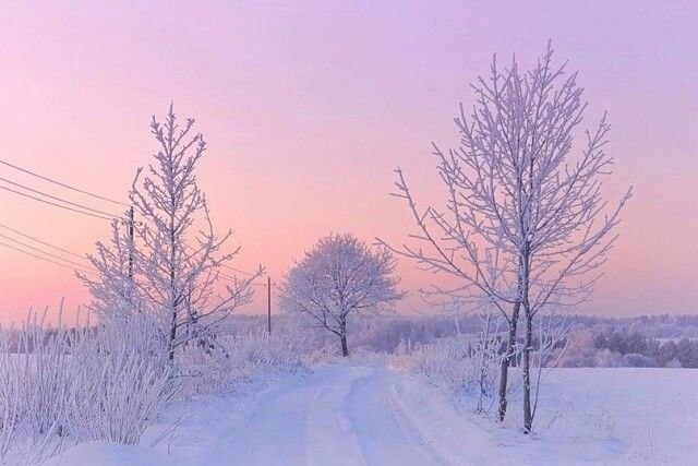 ������ ������� ������ | ����������� - 24 ����� 2020 � 19:06 - 4