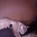 ���� Eugene, ��������, 51 ��� - ��������� 18 ������� 2020