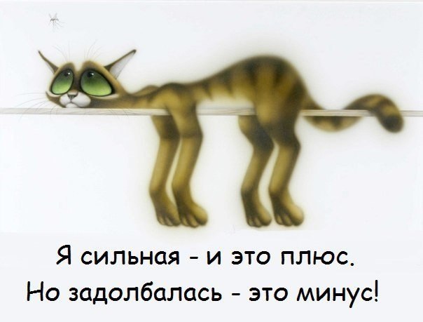  ,  .© - 26  2020  18:35