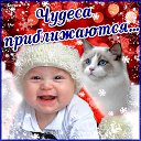 ���� Ida, �����������, 26 ��� - ��������� 21 ������� 2020 � ������ ������ ��������