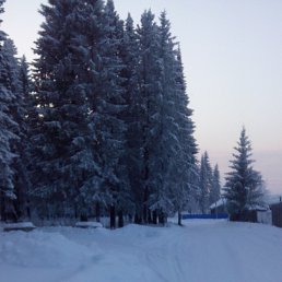 �����, �����, 47 ���