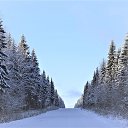 ���� ����, ����������, 72 ���� - ��������� 27 ������� 2020 � ������ ���� ����������