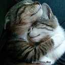 ���� ���, ����������� - ��������� 23 �������� 2020 � ������ ������ ��������