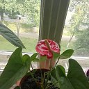 ���� �������, ������, 48 ��� - ��������� 6 ������� 2020 � ������ ������ ��������