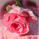 ���� �����, ������������, 68 ��� - ��������� 22 ������ 2020 � ������ ���� ����������