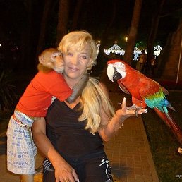 ���� ������, ����������-���������, 70 ��� - ��������� 13 ����� 2021