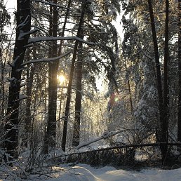 ���� �����, ������, 55 ��� - ��������� 25 ������ 2020