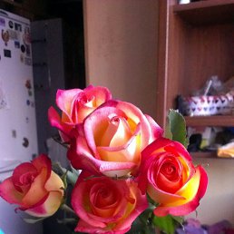 �������, �������, 38 ���