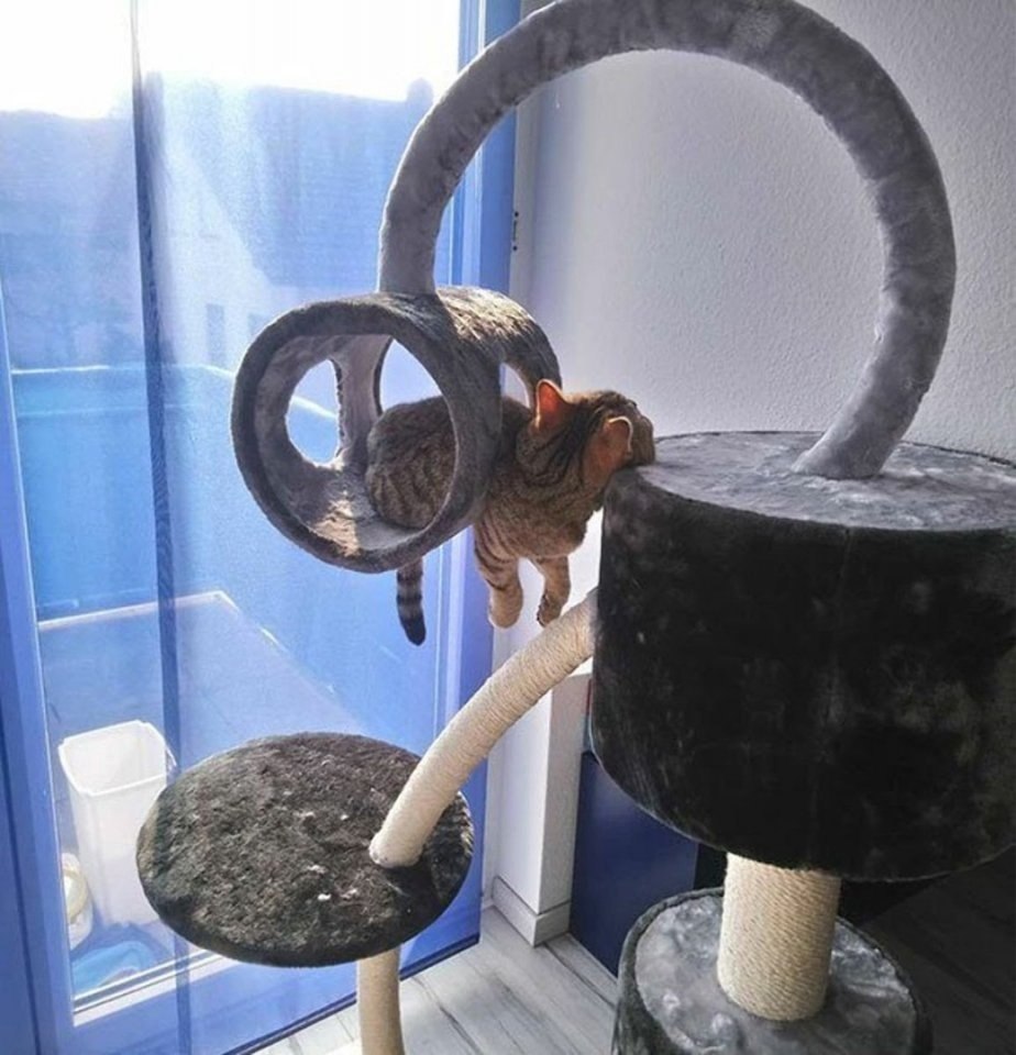    ?      240 ,      ... - 5