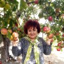 ���� �����, ���������, 64 ���� - ��������� 2 ������� 2020 � ������ ���� ����������