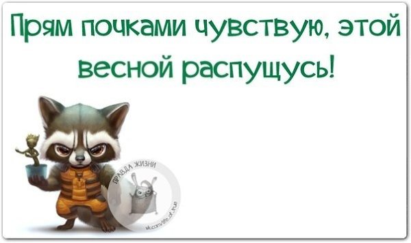 ������ ����� - 21 ����� 2021 � 19:16