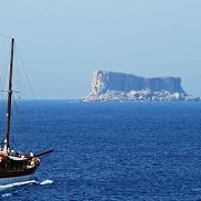 ����, 41 ���, ������-��-����