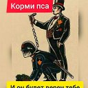 ���� �������, �����, 43 ���� - ��������� 3 �������� 2020