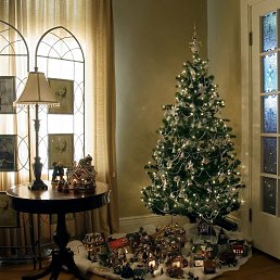 ���� ��������, ������, 64 ���� - ��������� 24 ������� 2020