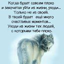 ���� �������, ������, 67 ��� - ��������� 11 ������ 2020 � ������ ������ ��������