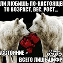  , -, 55  -  20  2020    