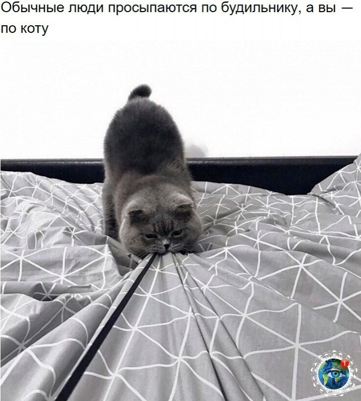 10 p oa e ao oo, o  e e ocaee.)  paa.