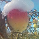  Nikolai, , 72  -  8  2020    