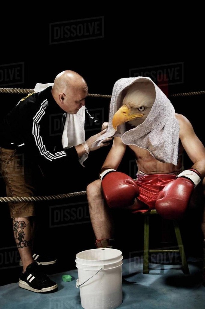 Орла завернули в полотенце и он стал звездой - 2