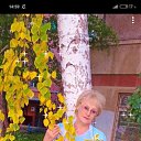 ���� �����������������, ������������ - ��������� 28 ������� 2020 � ������ ���� ����������