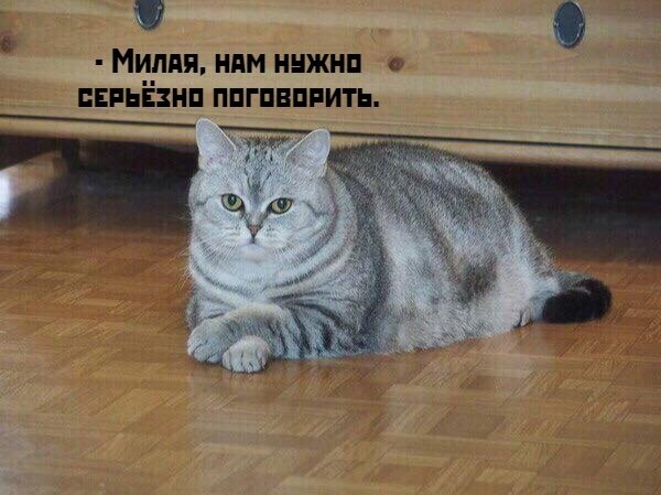       - 8  2021  21:20