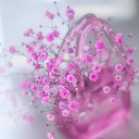 ���� �����, ���� - ��������� 23 ������� 2021 � ������ ���� ����������