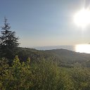 ,,,,,23.08.20. 7.20.    2020