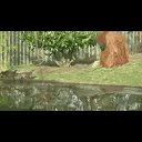 ���� ���������, �����-��������� - ��������� 24 ������� 2020 � ������ ������ ��������