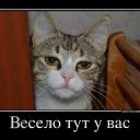 ���� Alex M, ��������� - ��������� 27 ������� 2020 � ������ �������