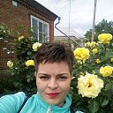 ���� �������, ���������, 41 ��� - ��������� 27 ������� 2020 � ������ ���� ����������